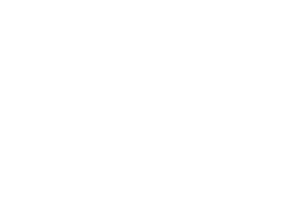 Pit Boss Portable 256-Sq in Black Pellet Grill - Image 14
