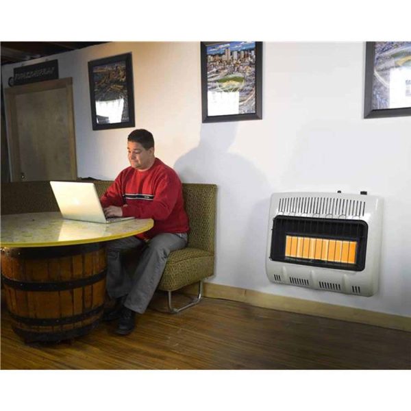30,000 BTU Vent Free Radiant Propane Heater - Image 3