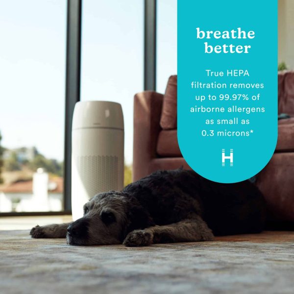HOMEDICS 3-Speed Ionic White HEPA Air Purifier ENERGY STAR (Covers: 266-sq ft) - Image 8