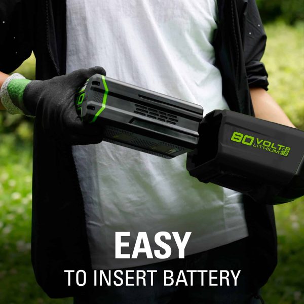 Pro 80V 8 inch Brushless Edger, Battery Not Included ED80L00 - Image 5