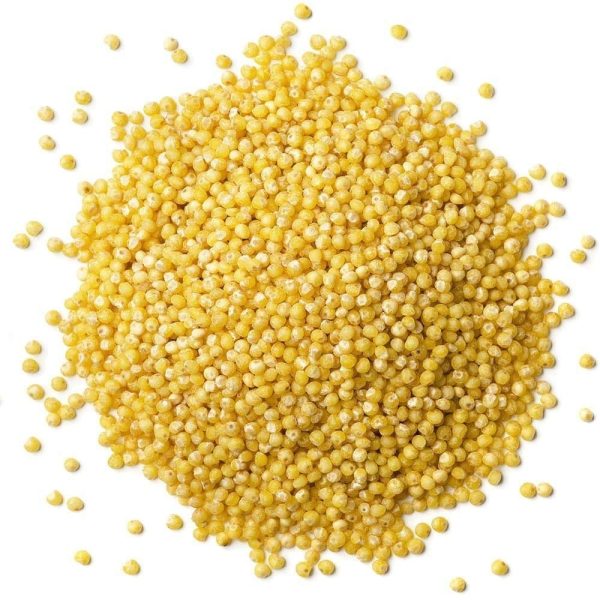 Food to Live Organic Hulled Millet, 15 Pounds   Whole Grain Seeds, Non-GMO, Kosher, Raw, Bulk, Product of the USA - Image 3