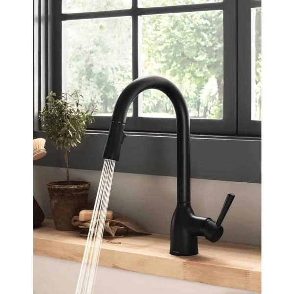 Adler Single-Handle Pull-Down Sprayer Kitchen Faucet with Reflex and Power Clean in Matte Black - Image 3
